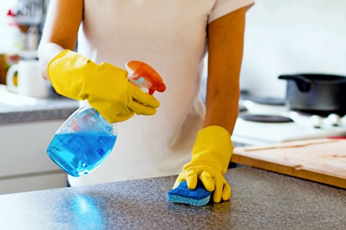 Deep cleaning supplies for a Westminster household