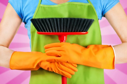 Professional carpet cleaning in a Westminster home