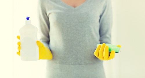 Commercial cleaning support for a Westminster property