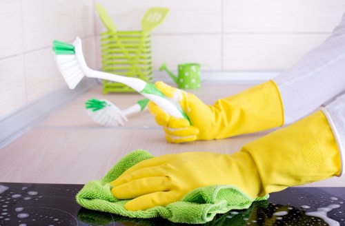 Professional oven cleaning in a Westminster kitchen