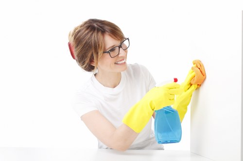 Detailed cleaning service in Westminster for homes and workplaces