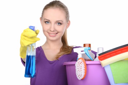 Detailed home window cleaning service in Westminster