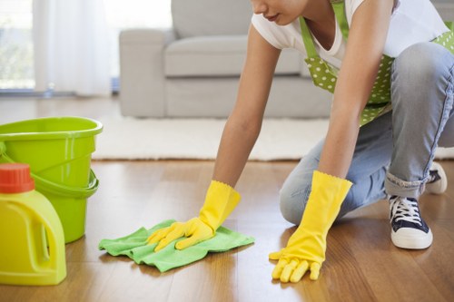 Kitchen cleaning service in a Westminster apartment